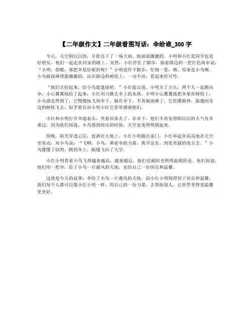 【二年级作文】二年级看图写话：伞给谁_300字