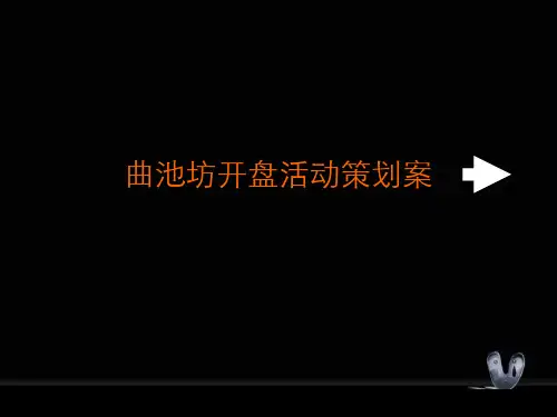 楼盘开盘活动策划案PPT