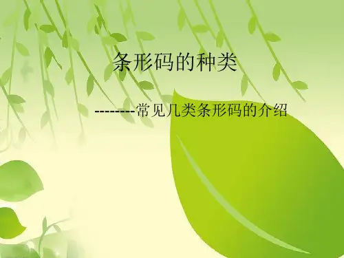 条形码的种类及其常见类型.ppt