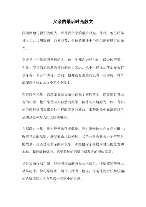 父亲的最后时光散文