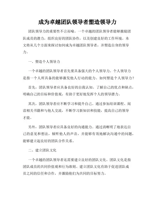 成为卓越团队领导者塑造领导力