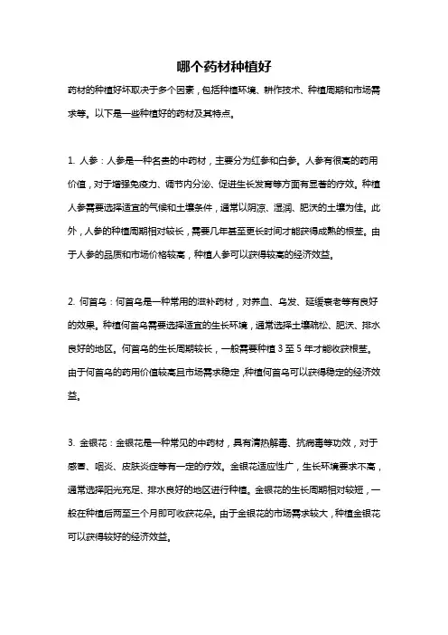 哪个药材种植好