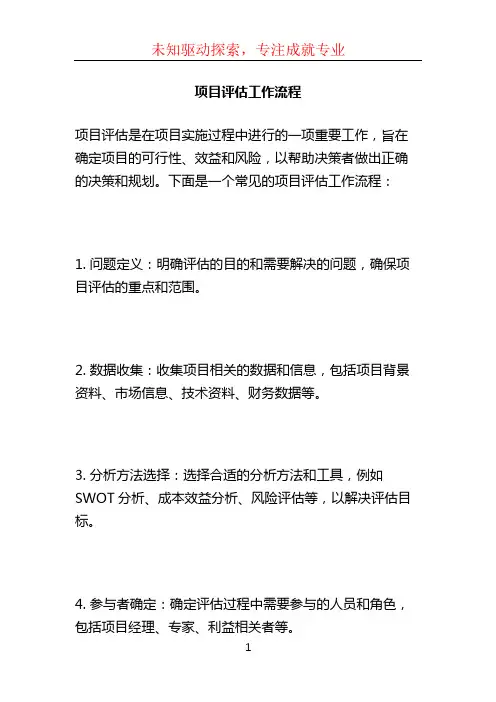 项目评估工作流程
