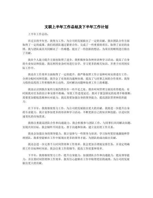 文联上半年工作总结及下半年工作计划