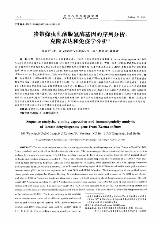 猪带绦虫乳酸脱氢酶基因的序列分析、克隆表达和免疫学分析