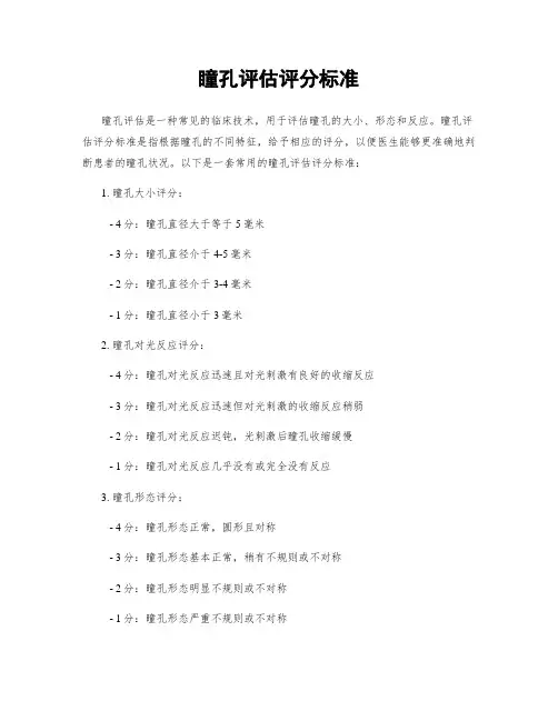 瞳孔评估评分标准