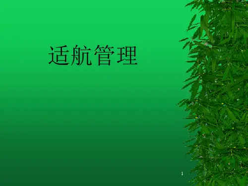 适航性资料 PPT课件