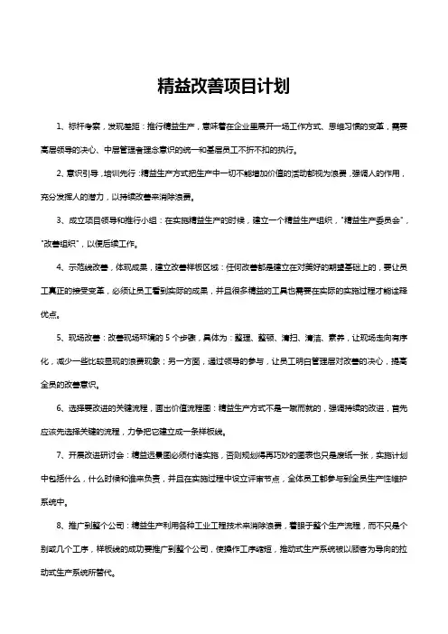 精益改善项目计划