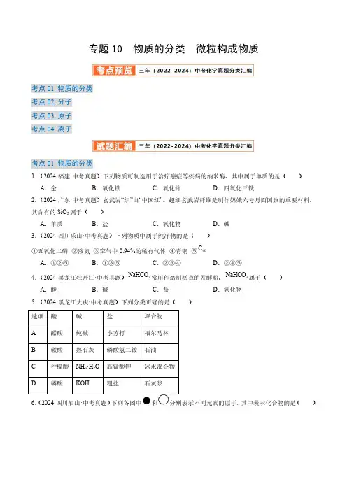 专题10物质的分类 微粒构成物质(原卷版)三年(2022-2024)中考化学真题分类汇编(全国通用)