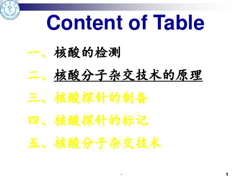 核酸分子杂交1--副本PPT课件