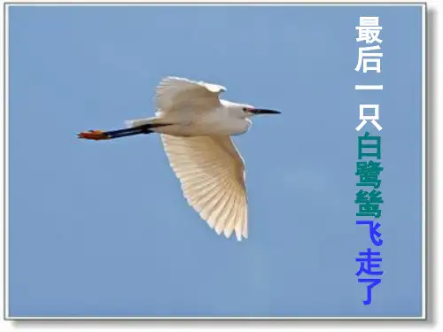 《最后一只白鹭鸶》优美课件-人教部编版小学语文五年级上册