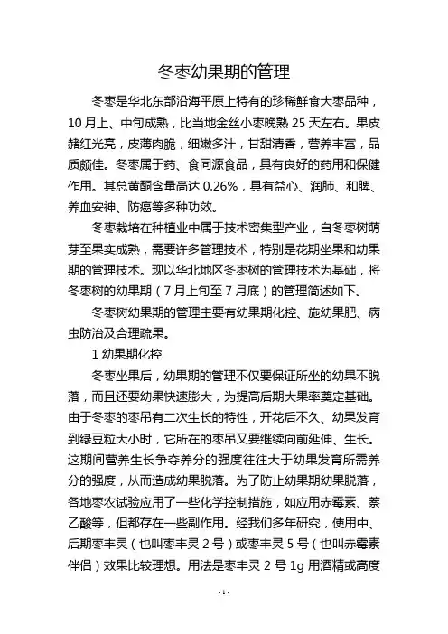 冬枣幼果期的管理