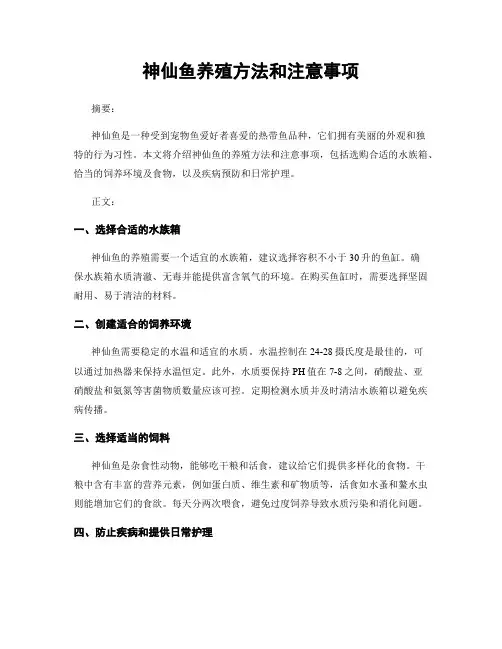 神仙鱼养殖方法和注意事项