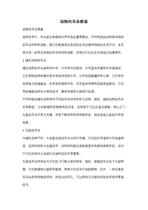 动物的耳朵教案