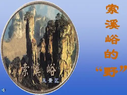 《4索溪峪的野》教学课件[1] 30页PPT文档