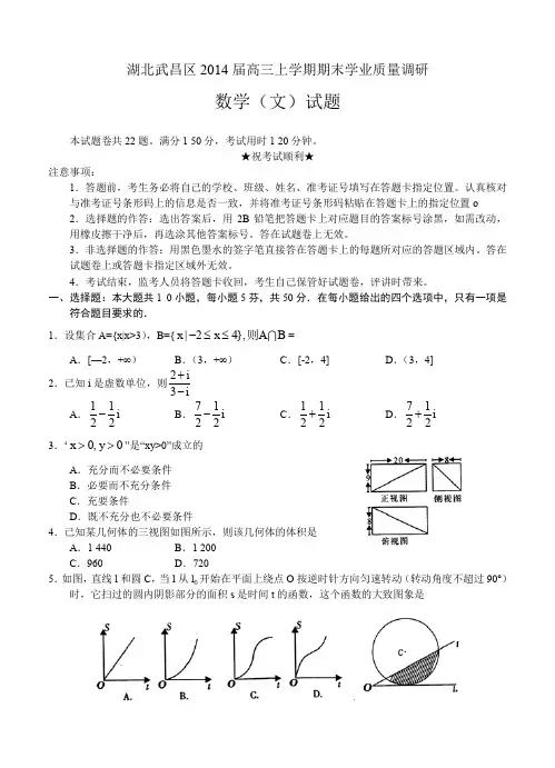 湖北省武汉武昌区2014届高三元月调考数学文试题-含答案