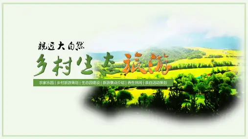 乡村振兴美丽乡村旅游项目PPT模板-精品模板  (20)