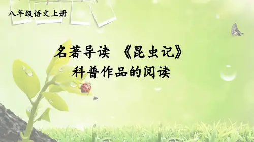 统编八年级语文上册名著导读 《昆虫记》 课件