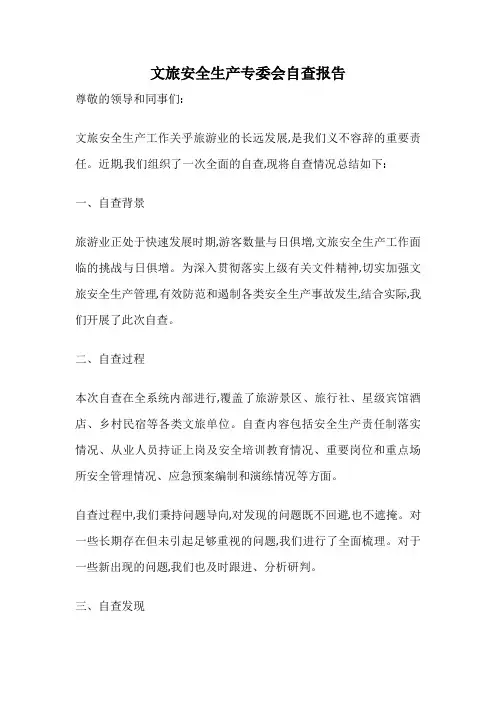 文旅安全生产专委会自查报告