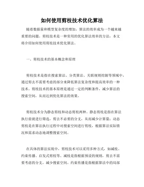 如何使用剪枝技术优化算法