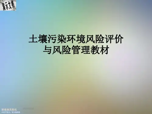 土壤污染环境风险评价与风险管理教材
