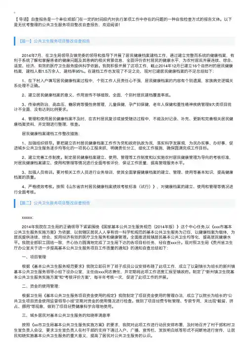 公共卫生服务项目整改自查报告