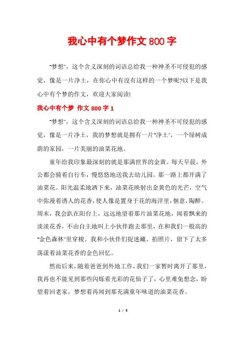 我心中有个梦作文800字