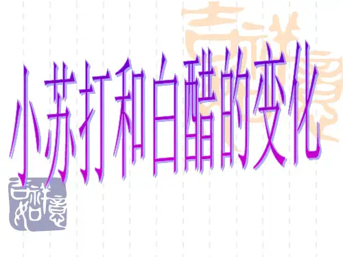 六年级下册科学课件-2 .4 小苏打和白醋的变化｜教科版 (共26张PPT)
