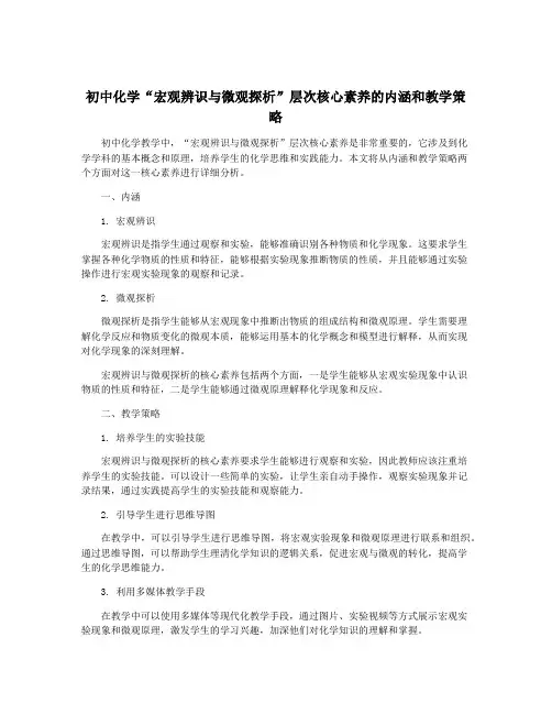 初中化学“宏观辨识与微观探析”层次核心素养的内涵和教学策略