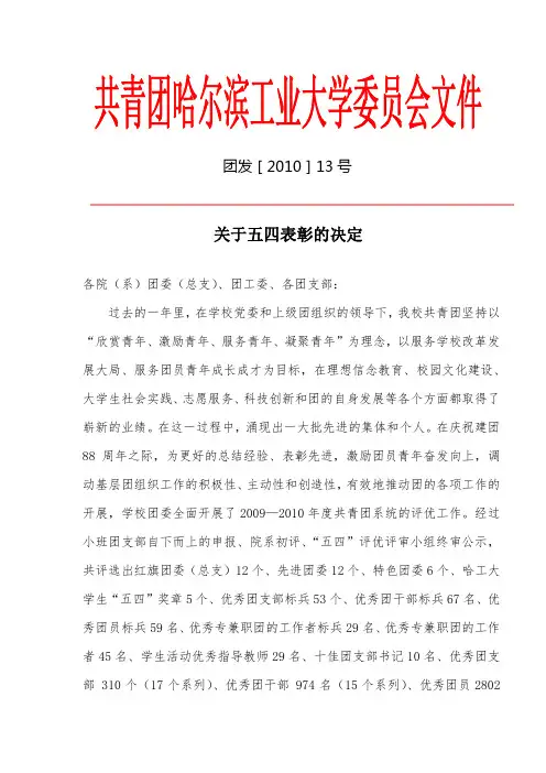 团发[2010]13号