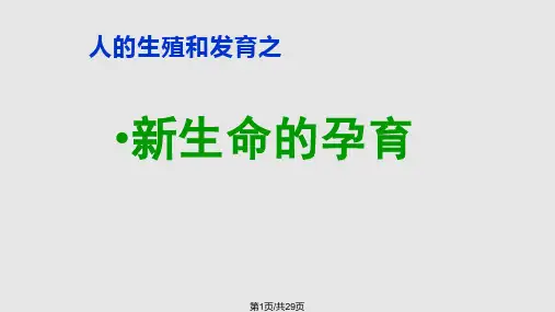 新生命的孕育PPT课件
