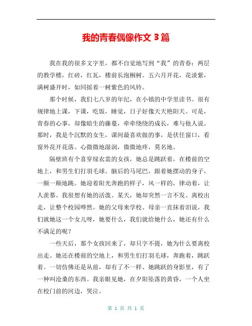 我的青春偶像作文3篇