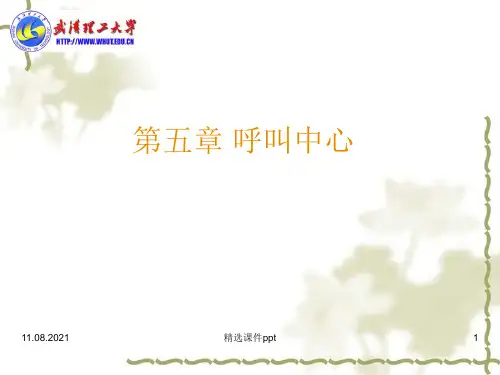 第5章呼叫中心ppt课件
