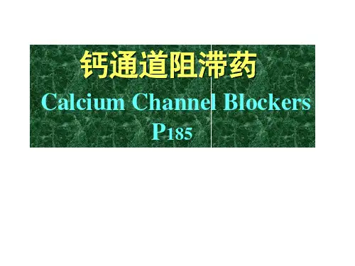 药理学课件：钙通道阻滞药