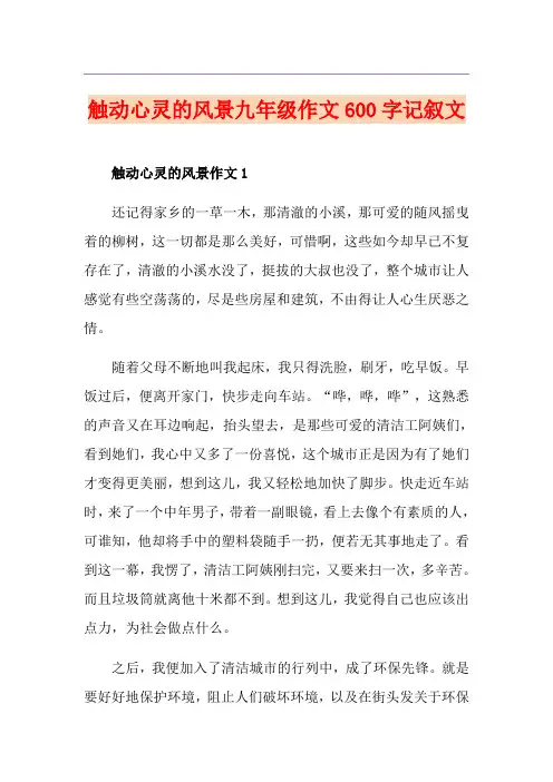 触动心灵的风景九年级作文600字记叙文