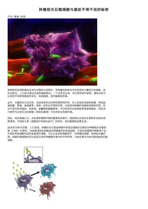 肿瘤相关巨噬细胞与癌症不得不说的秘密