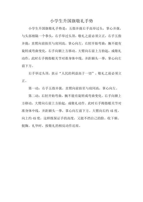 小学生升国旗敬礼手势
