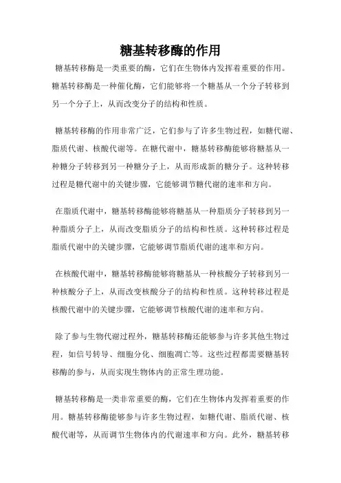 糖基转移酶的作用