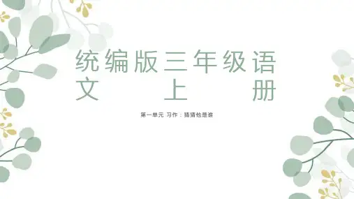 习作：猜猜他是谁ppt课件