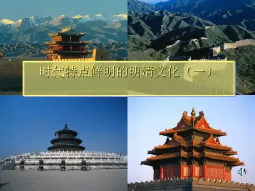 时代特点鲜明的明清文化(一)ppt12
