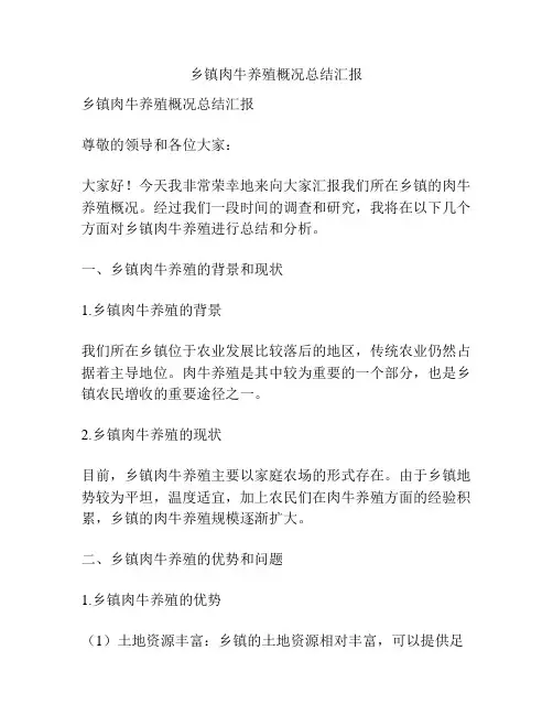 乡镇肉牛养殖概况总结汇报