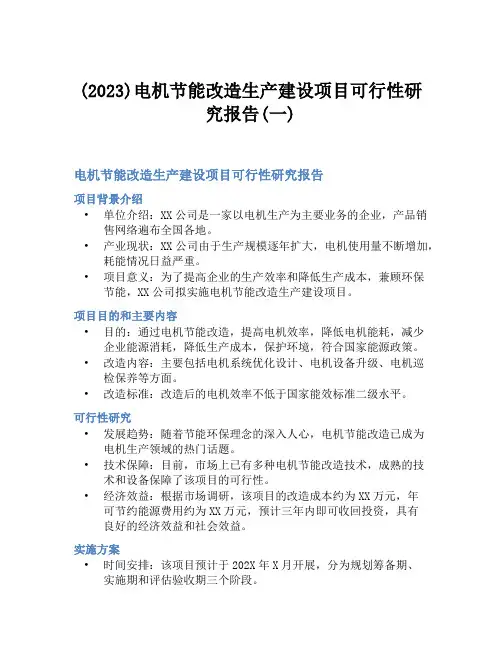 (2023)电机节能改造生产建设项目可行性研究报告(一)