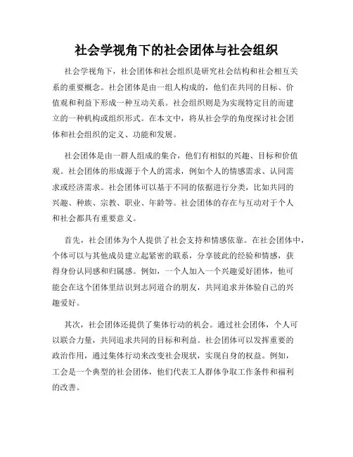 社会学视角下的社会团体与社会组织