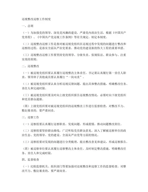 巡视整改巡察工作制度
