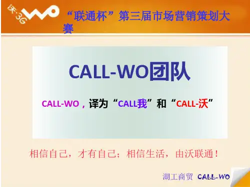 联通沃3G校园卡营销策划大赛PPT