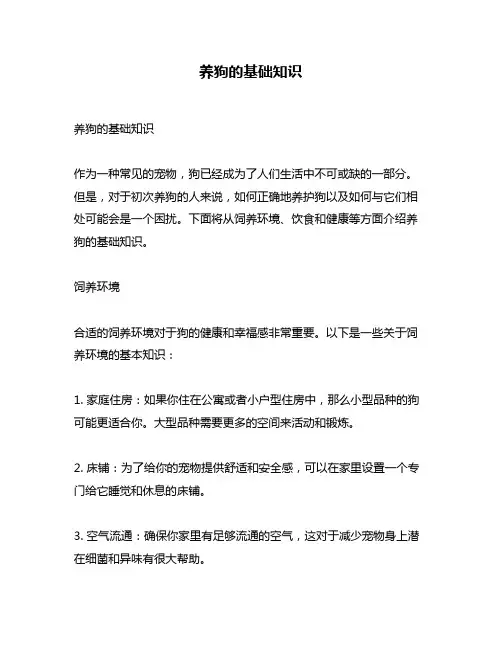 养狗的基础知识