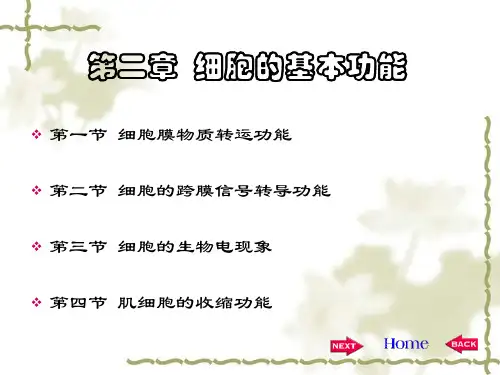 生理学第二章
