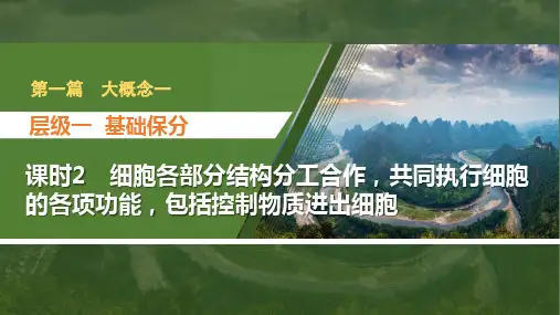 2024届高考生物(新教材)二轮复习课件 大概念一 细胞是生物体结
