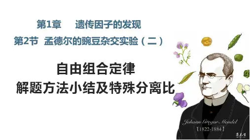 1.2 自由组合定律解题方法小结及特殊分离比-高一生物下学期课件(2019人教版必修2)
