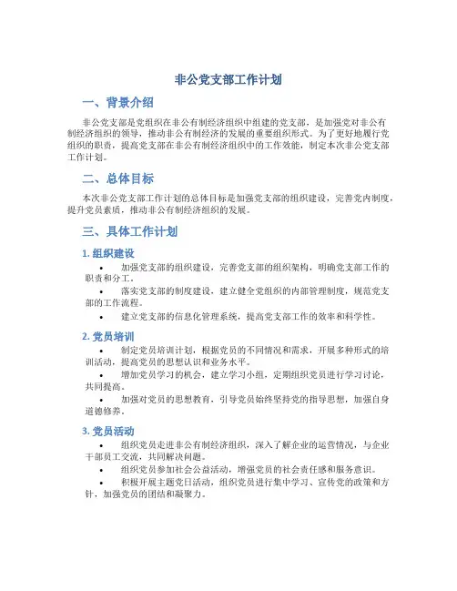 非公党支部工作计划
